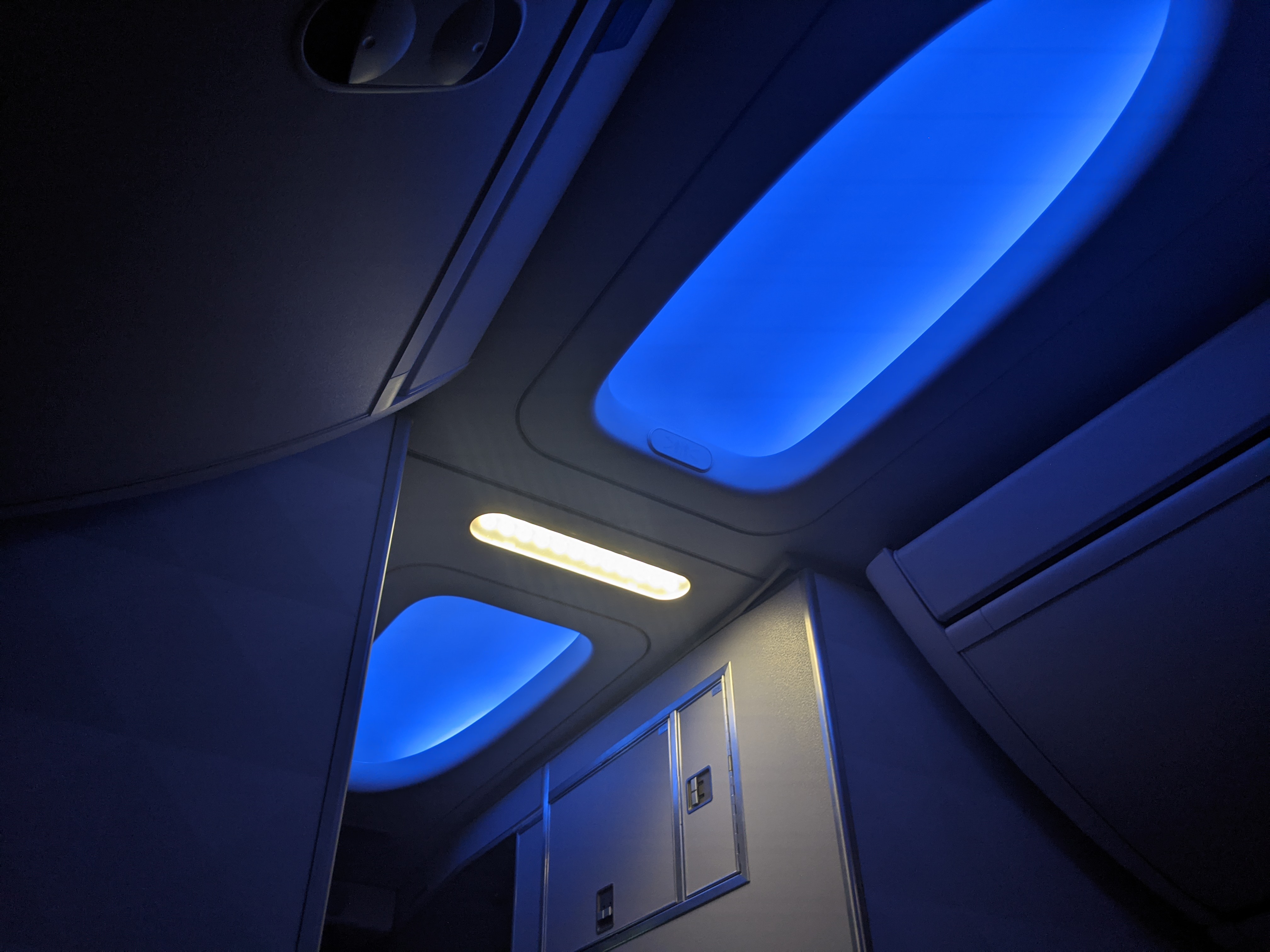 Delta 737-900 First Class Seat Lighting