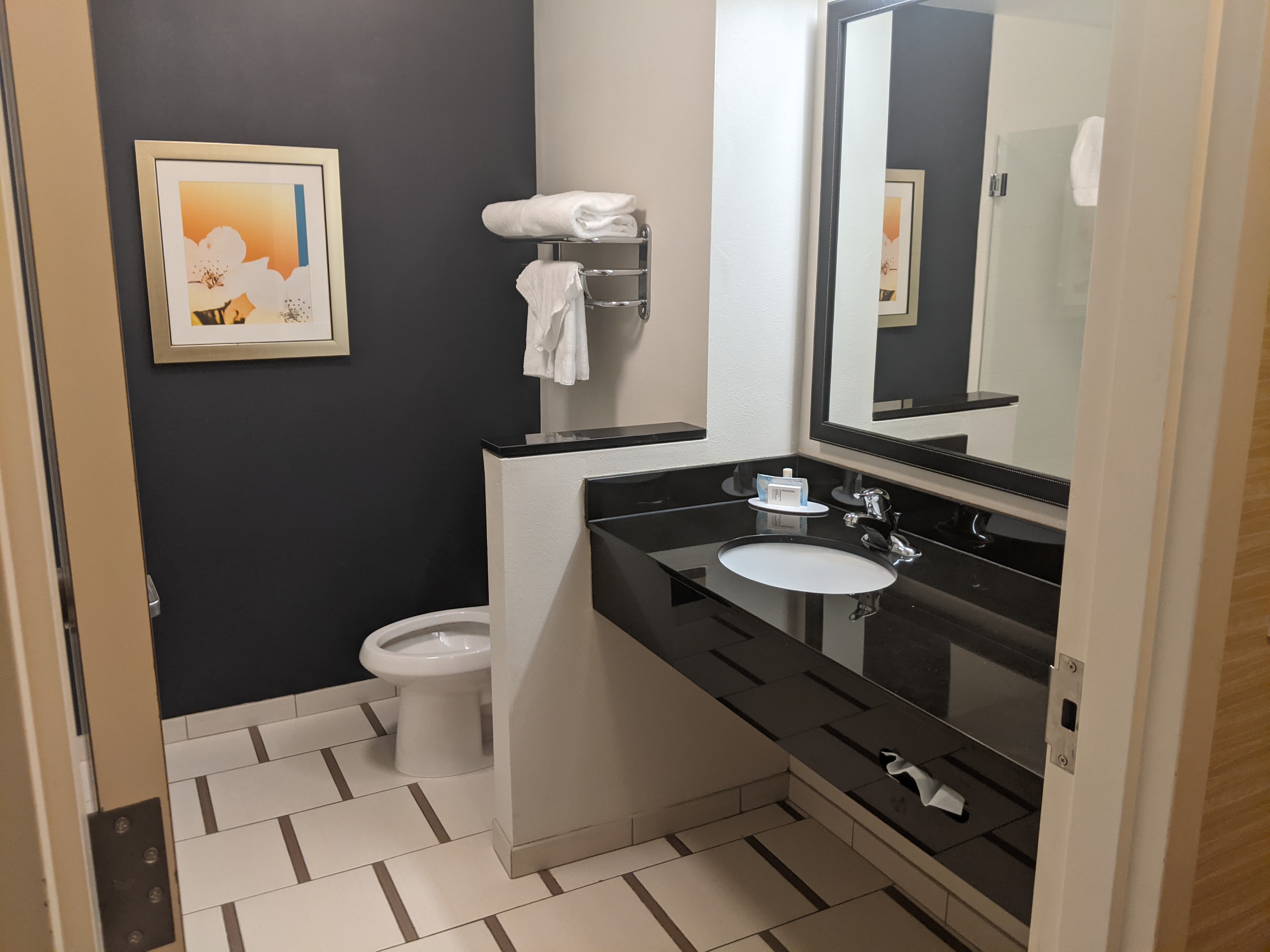 Fairfield Inn and Suites by Marriott Calhoun Ga Bathroom