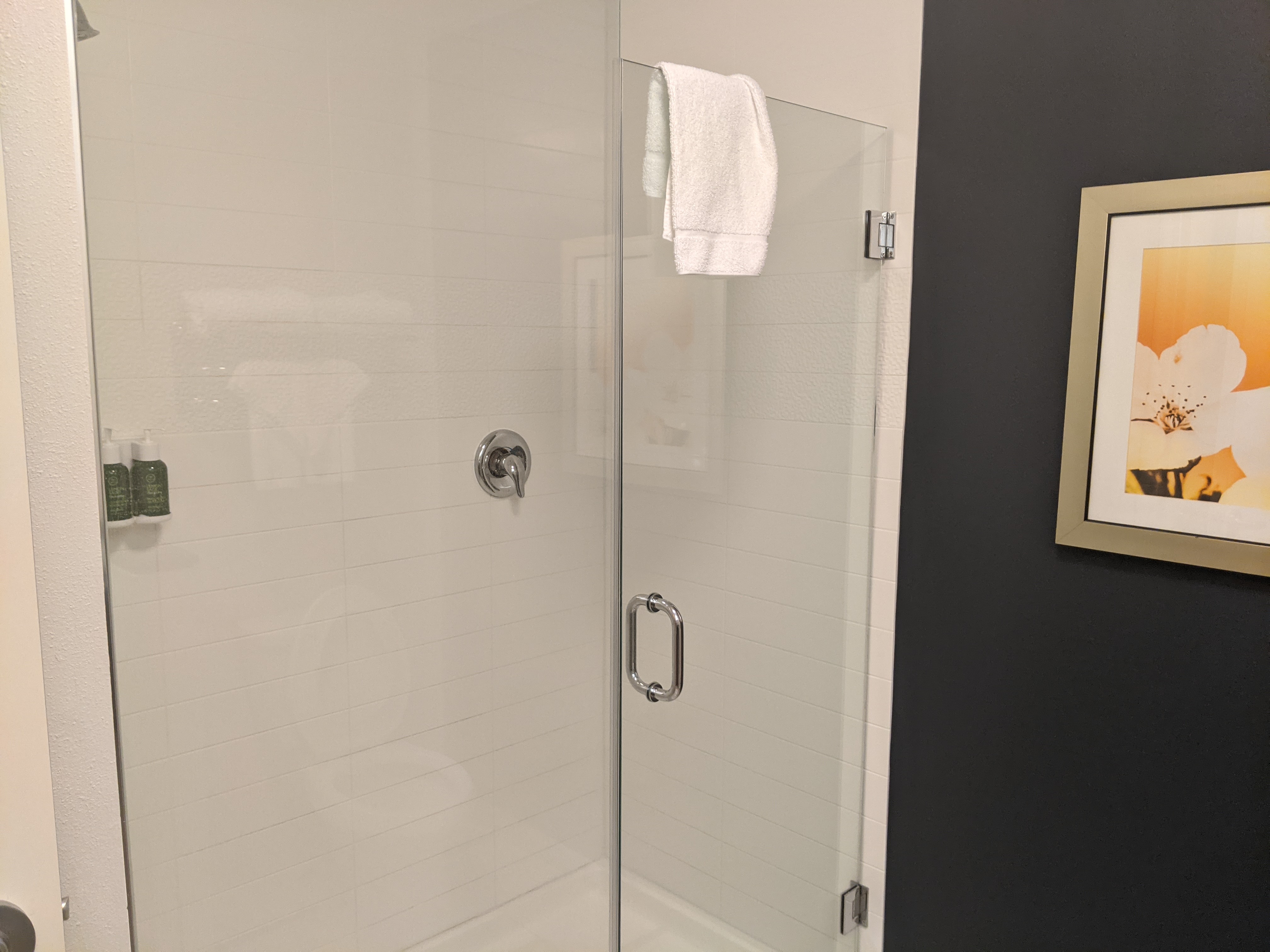 Fairfield Inn and Suites by Marriott Calhoun Ga Bathroom