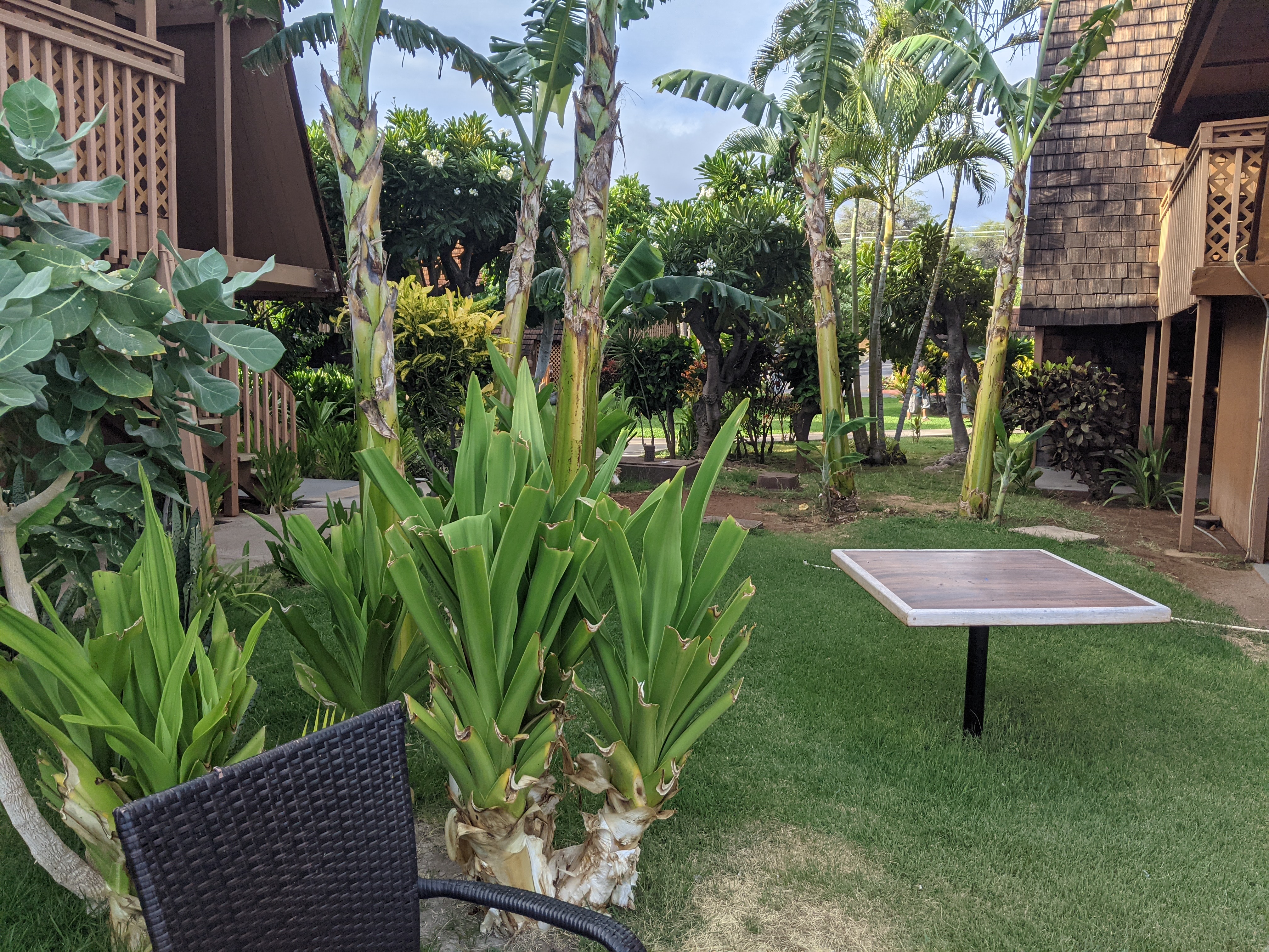 Hotel Molokai Grounds