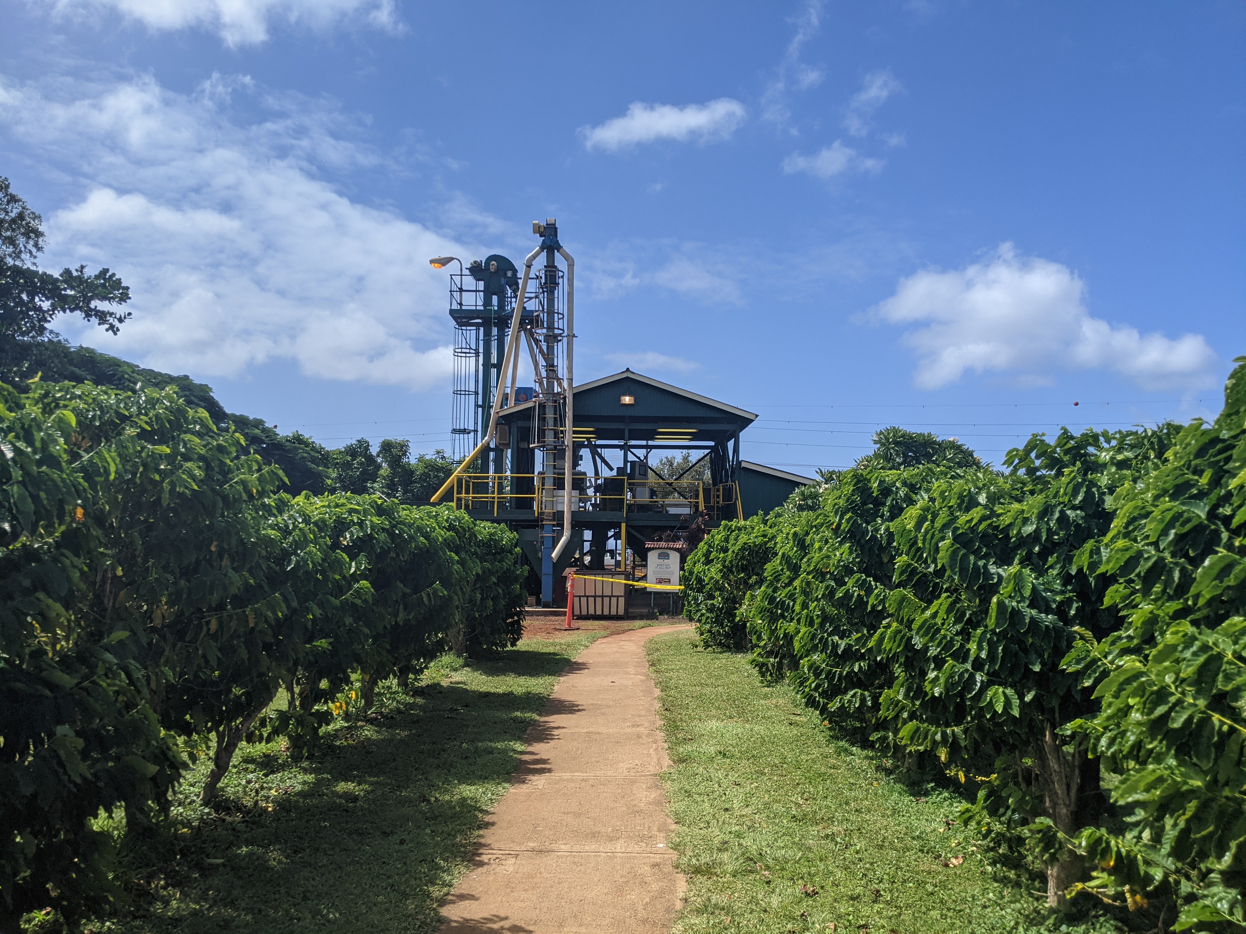 Kauai Coffee Company