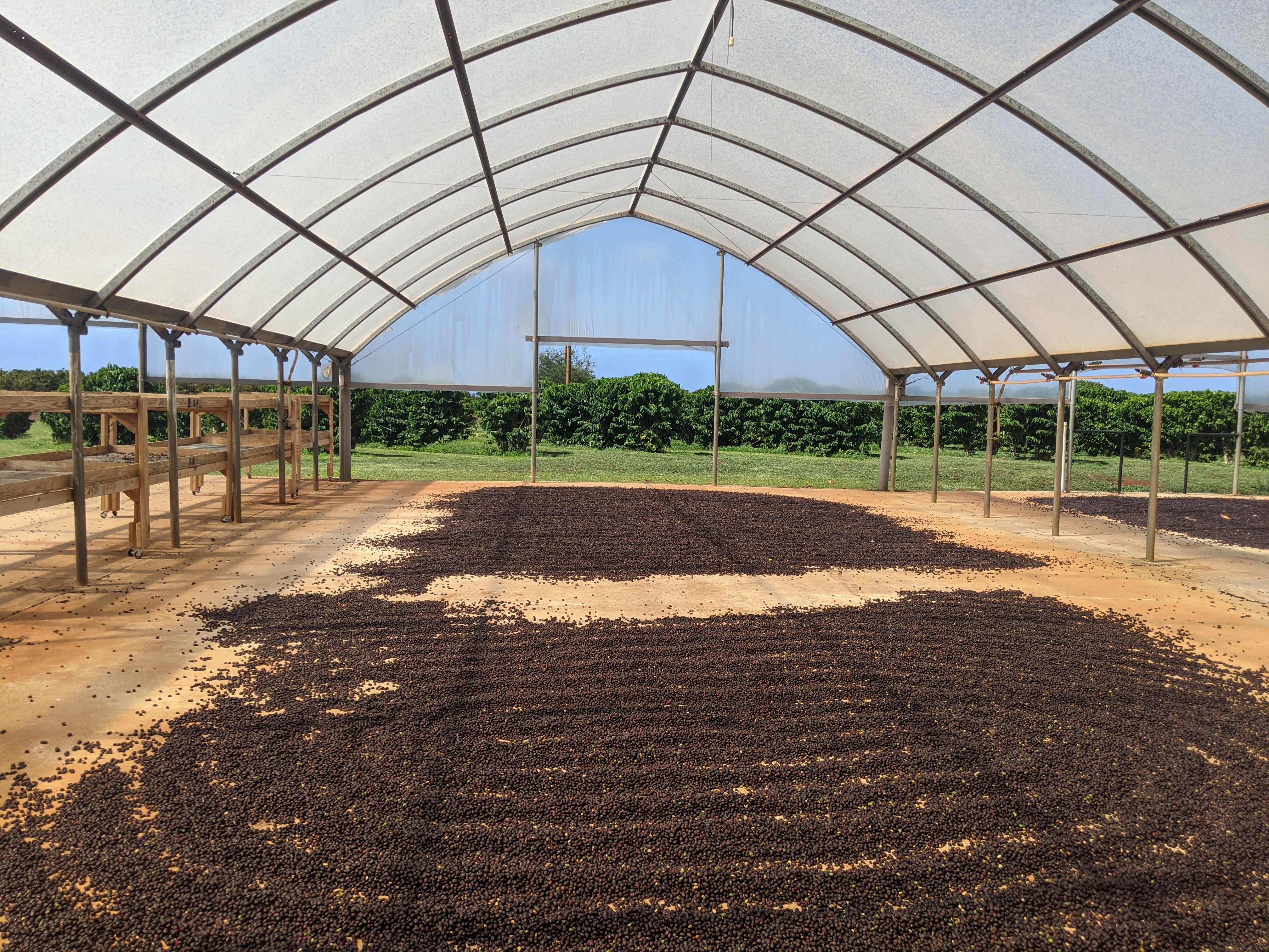 Kauai Coffee Company