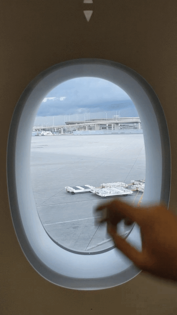 Air France A350 Business Class Window