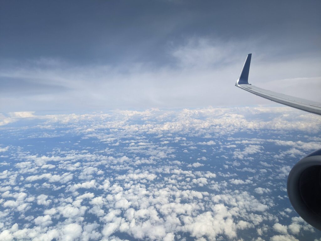 Delta 737-800 First Class in flight