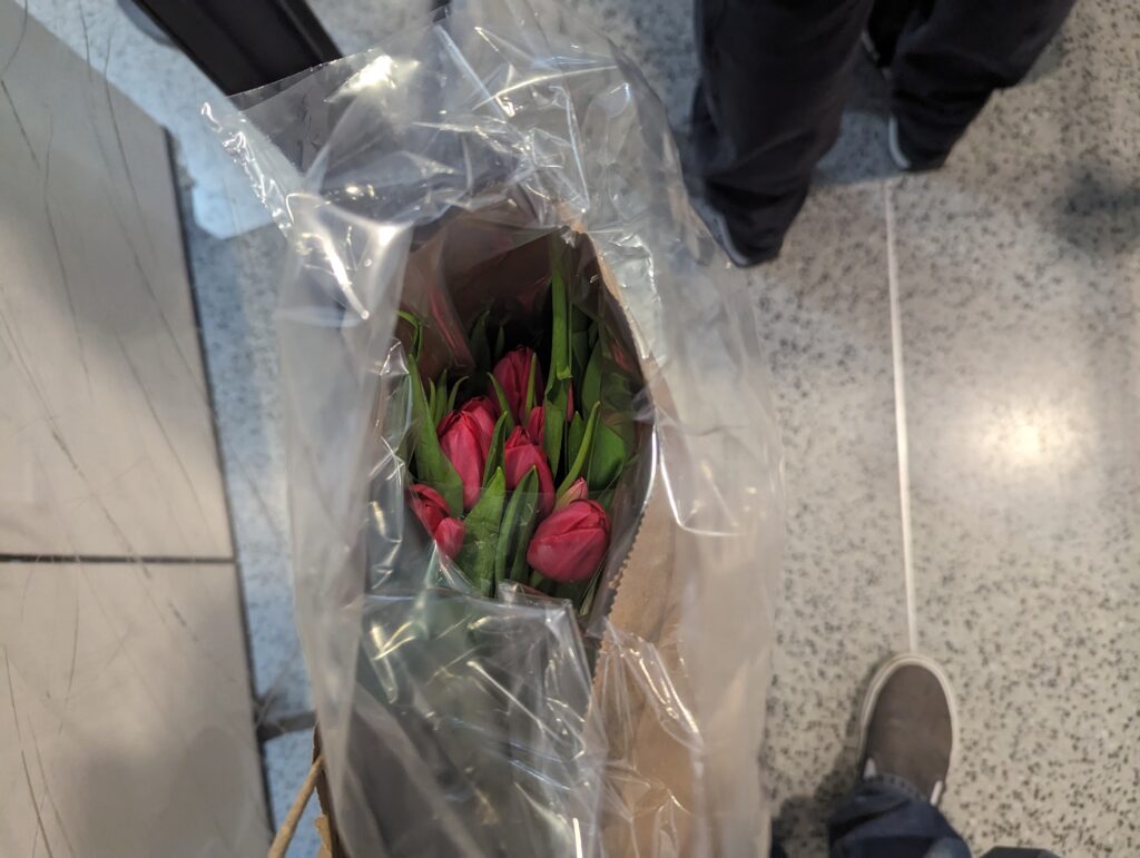 Package Fresh Flowers For Flying