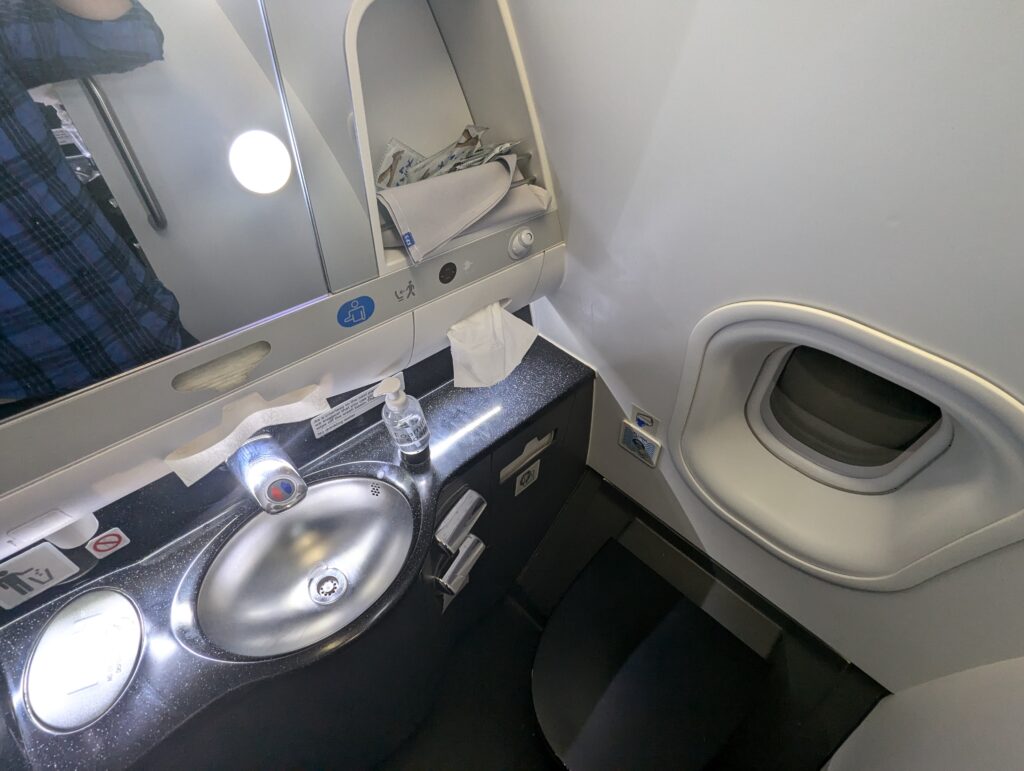 SAS A330-300 Business Class Lavatory 
