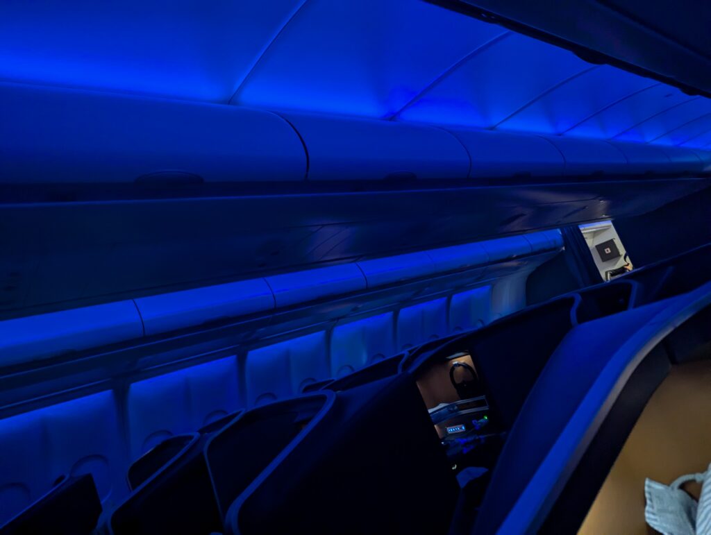 SAS A330-300 Business Class Overnight