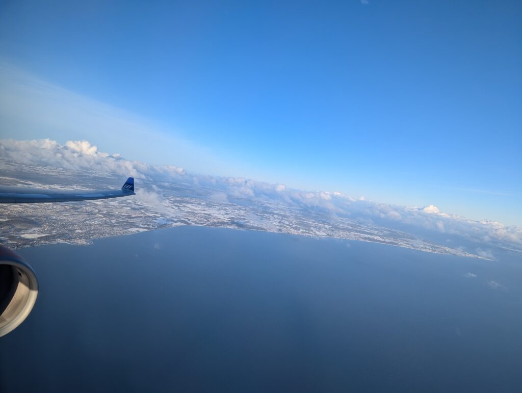 SAS A330-300 Business Class  Window View Landing