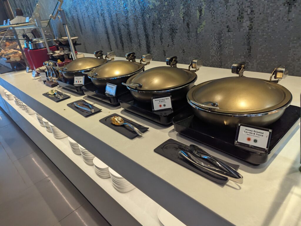 Delta SkyClub ATL Concourse D Buffet