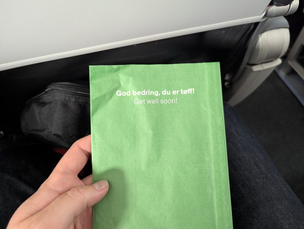 Widerøe Barf Bag