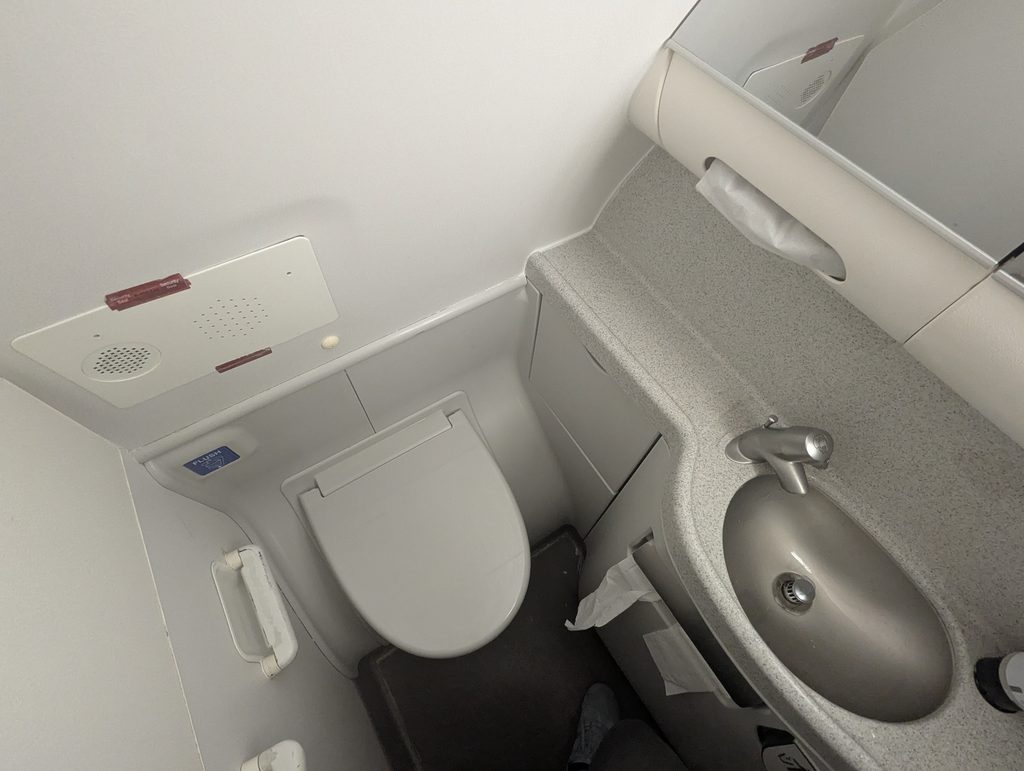 Southwest Airlines 737 Lavatory
